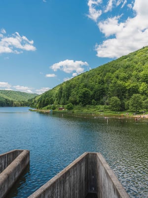 Lyman Run State Park