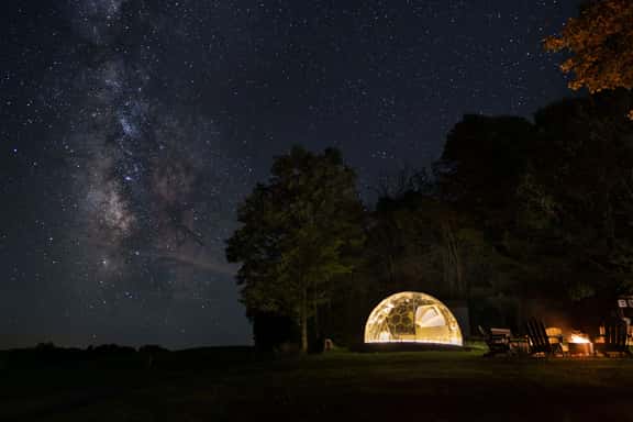 Starry Skies Sanctuary - Image 1