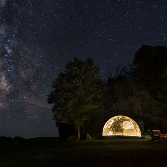 Starry Skies Sanctuary - Image 1