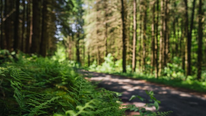 Hiking & Trail Maps