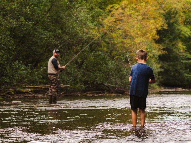Fly fishing on a forest stream